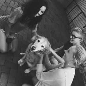 Meet your Posher, Ava